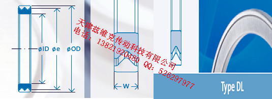 GMNDL40X52X4油封圖紙