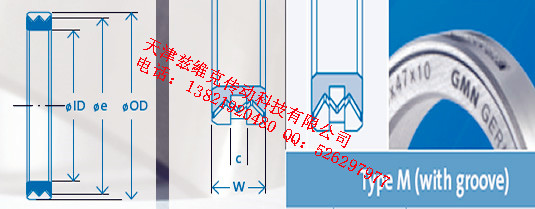 GMNM45X55X10油封圖紙